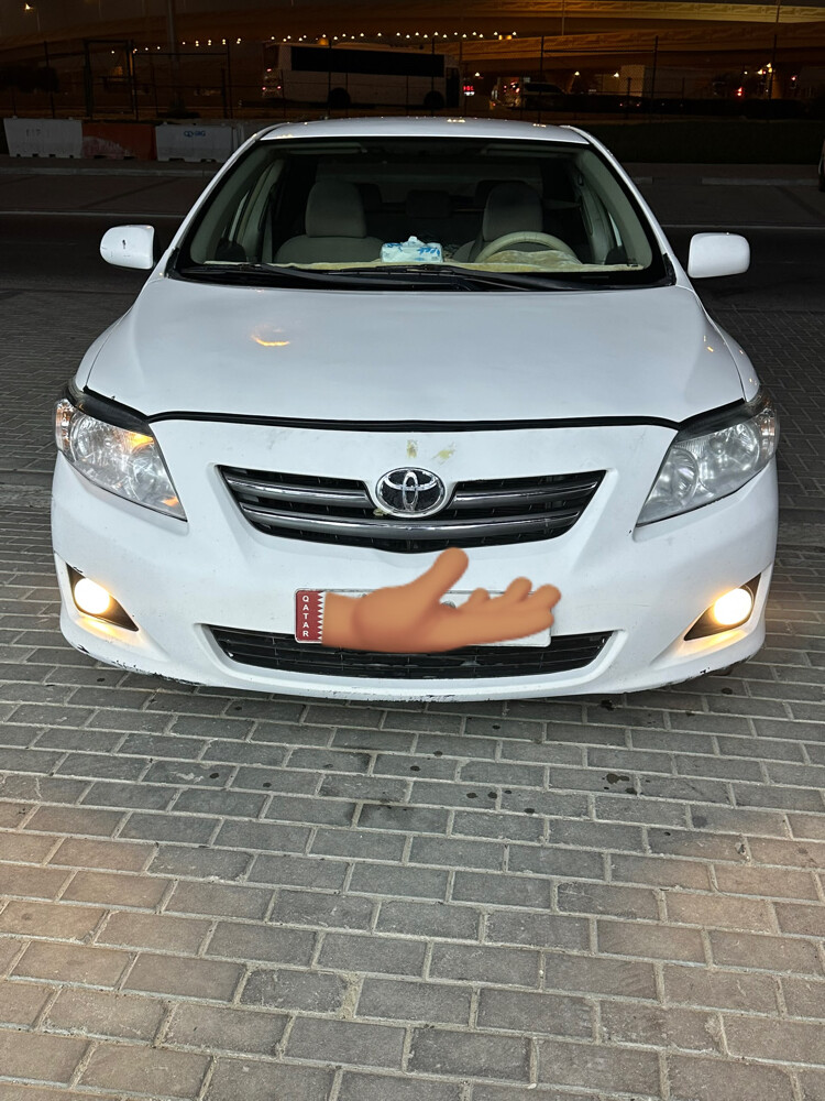 كوريلا - 1