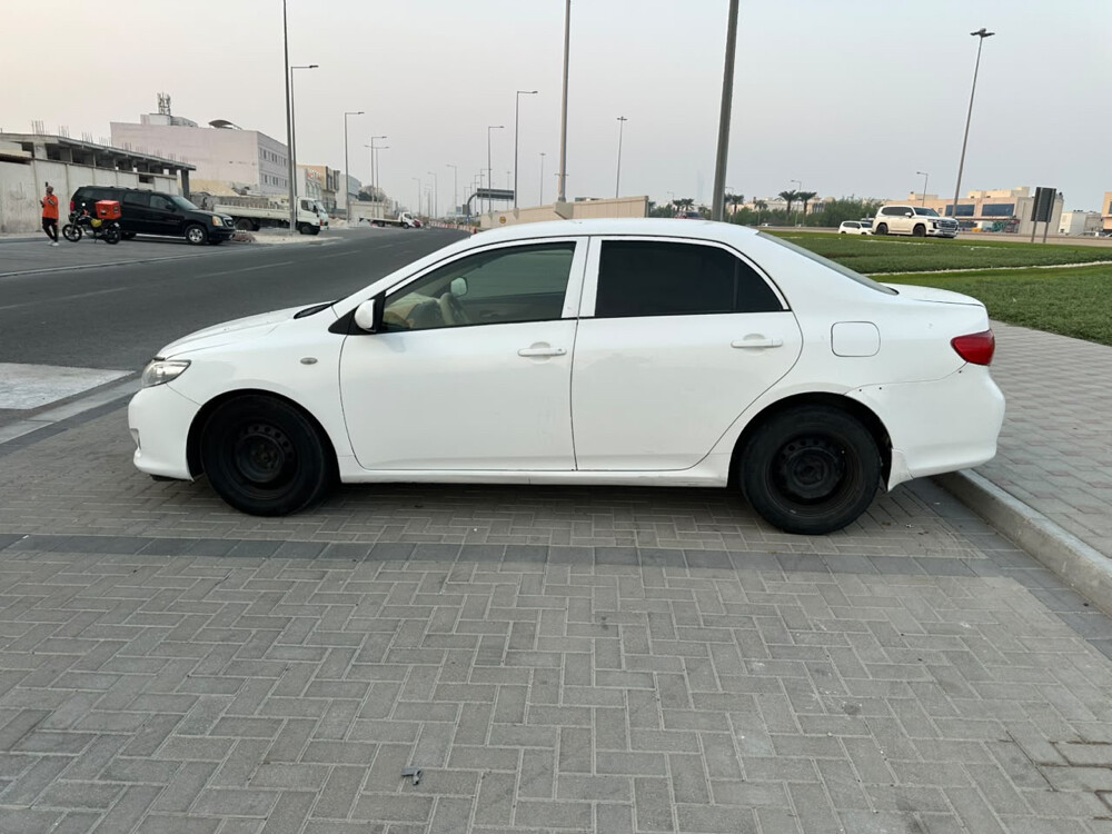 كوريلا - 6