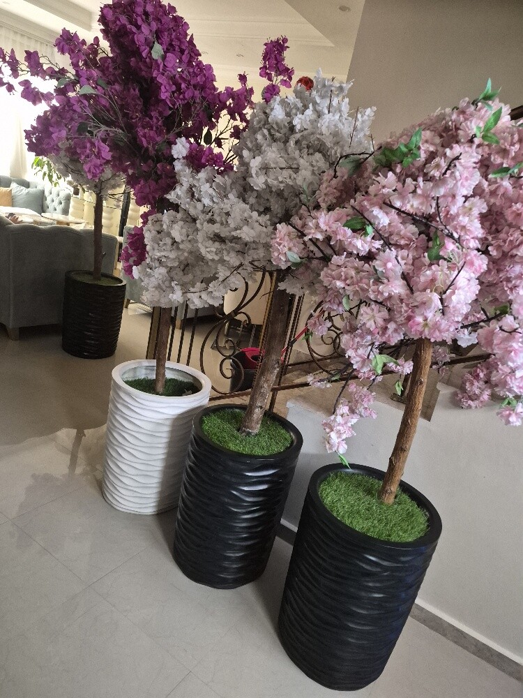 8شجرات صناعي مترين 3200 مظلة 650 - 2