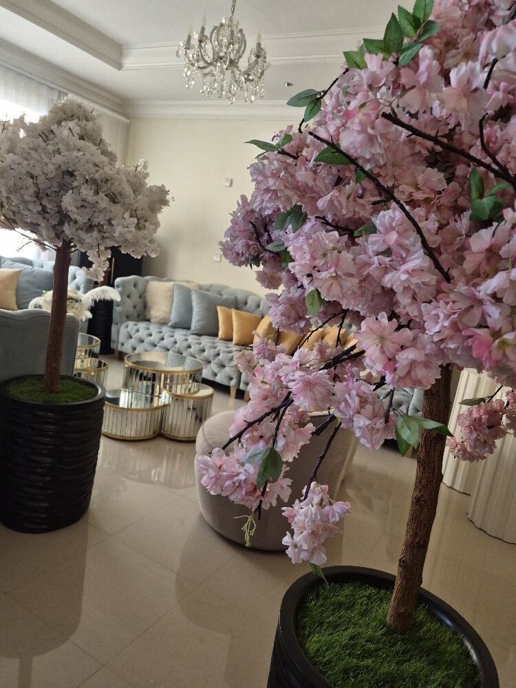 8شجرات صناعي مترين 3200 مظلة 650 - 1
