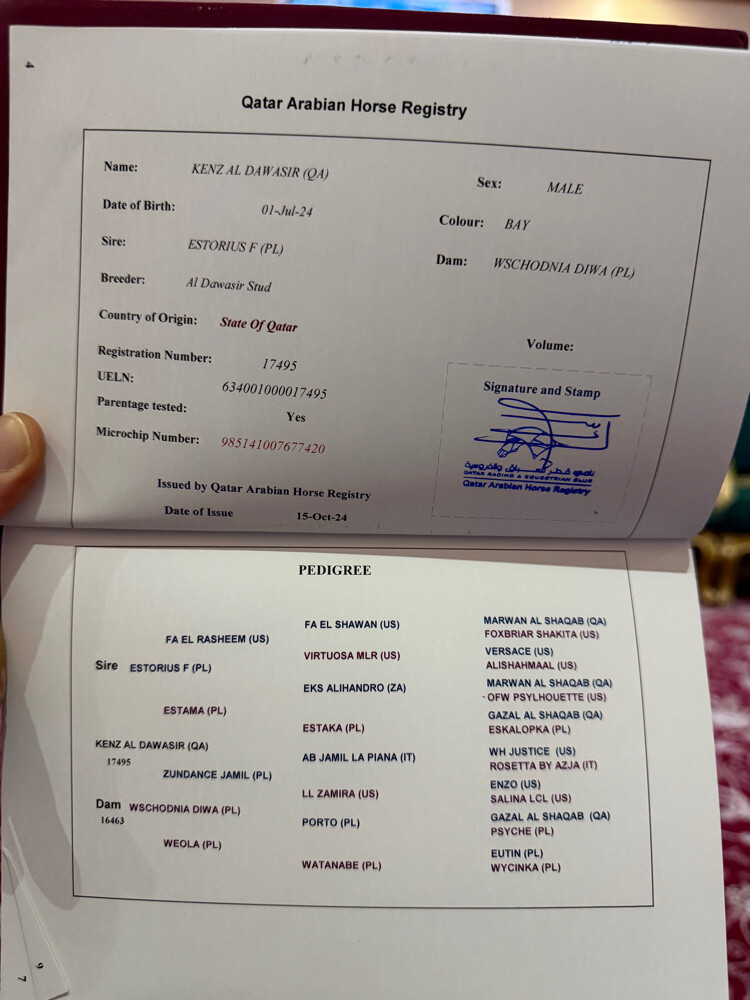 كنز الدواسر  - 13