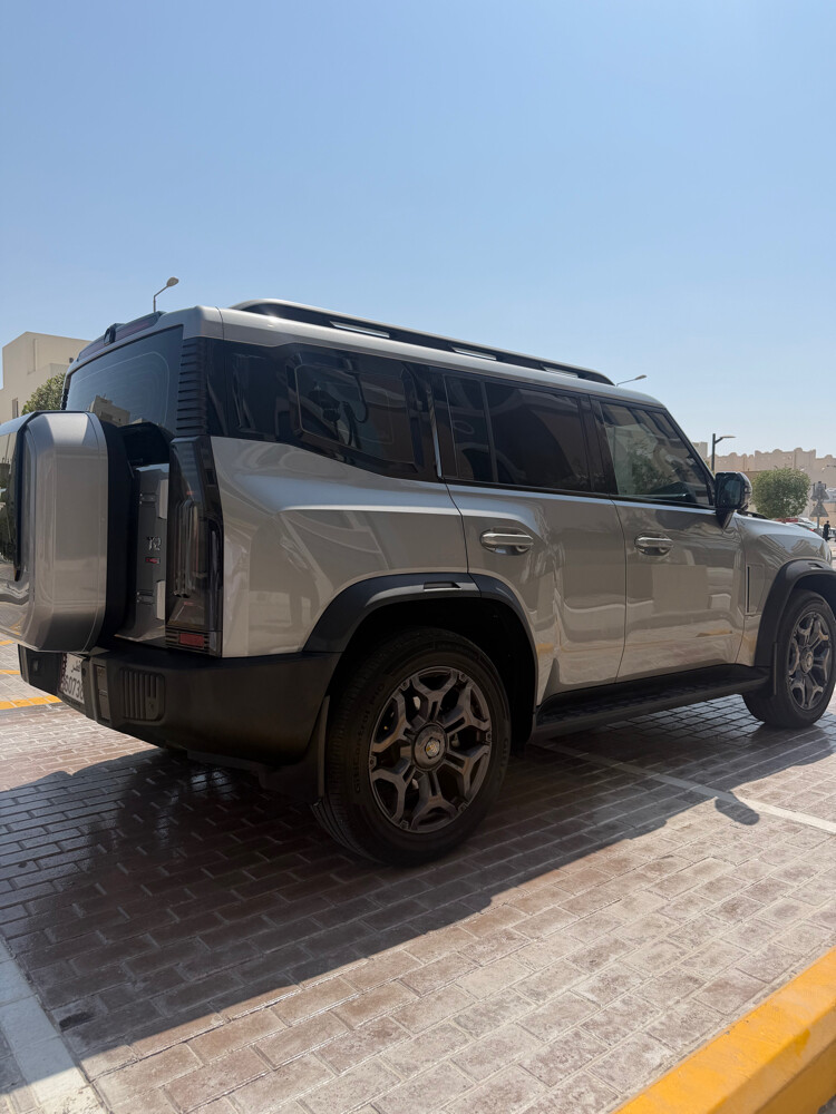 صبغ وكالة وارد قطر  - 6