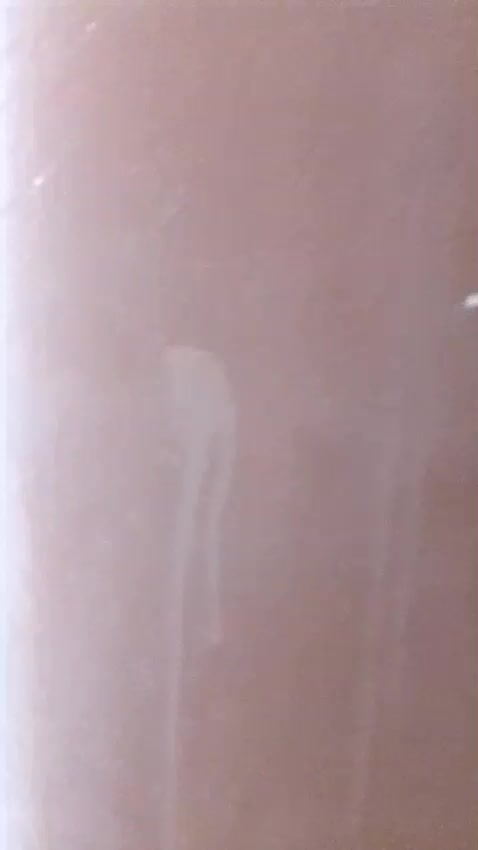 Appartement in Al messila - 1