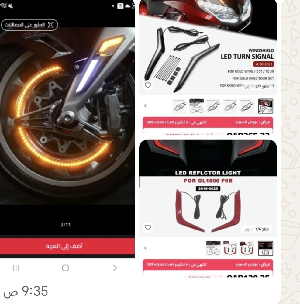 اكسسوارت جولد وينج - 4