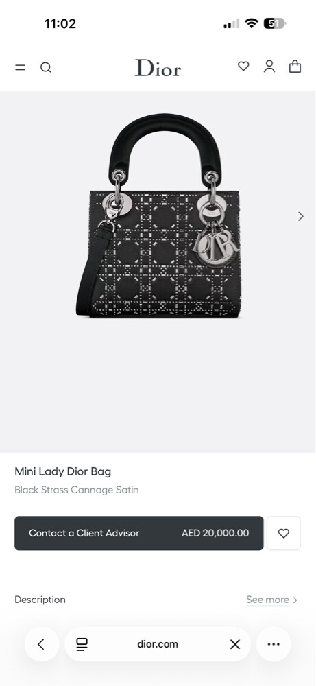 Mini Lady Dior - 2
