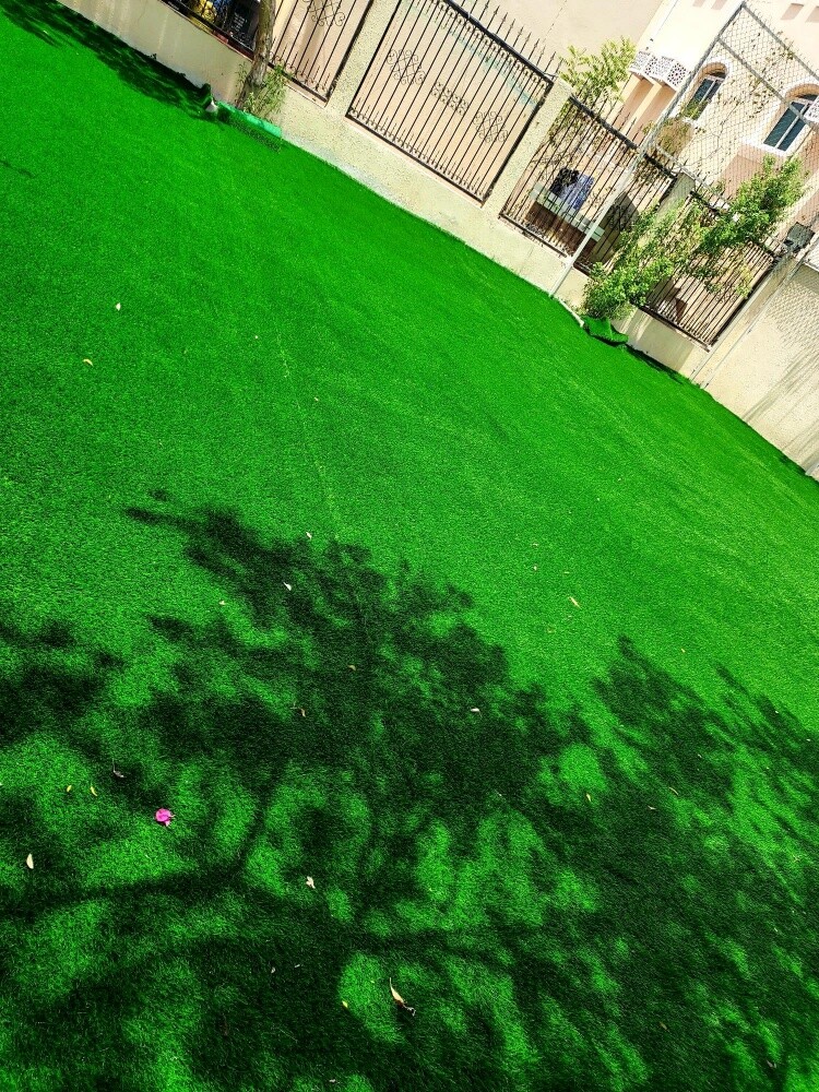 gass carpet - 4