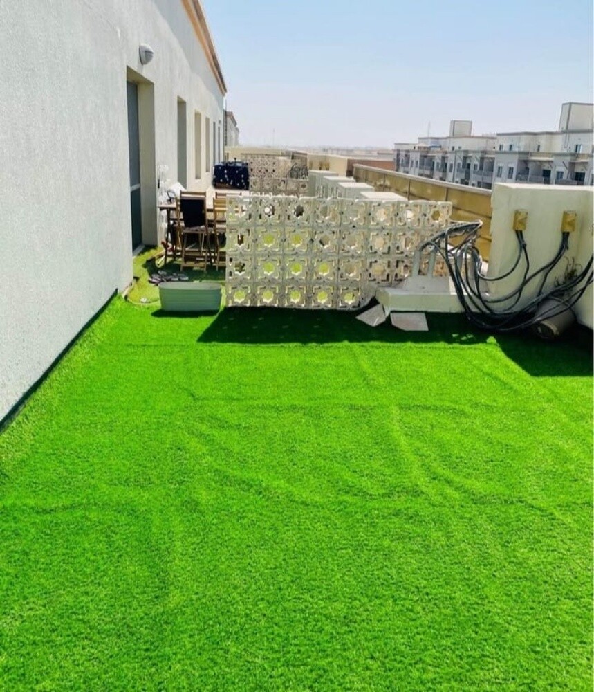gass carpet - 9