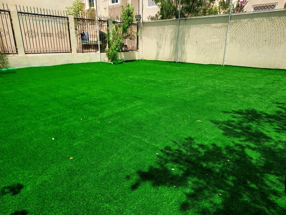 gass carpet - 5