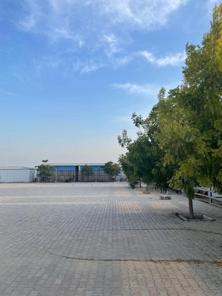 للجادين عزبه فالخور كاش أو اقساط  - 3