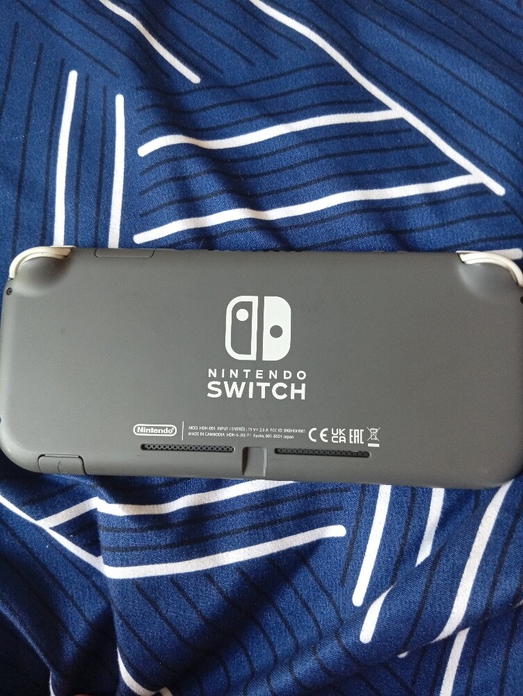 Nintendo switch lite - 2