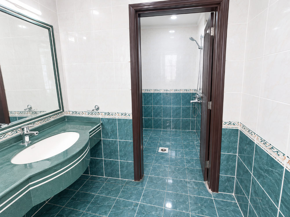 luxury 4 BHK villa Old Airpot - 8