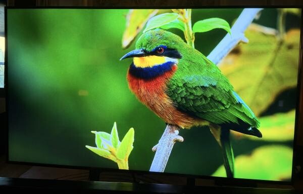 LG TV 65 inch QNED - 3