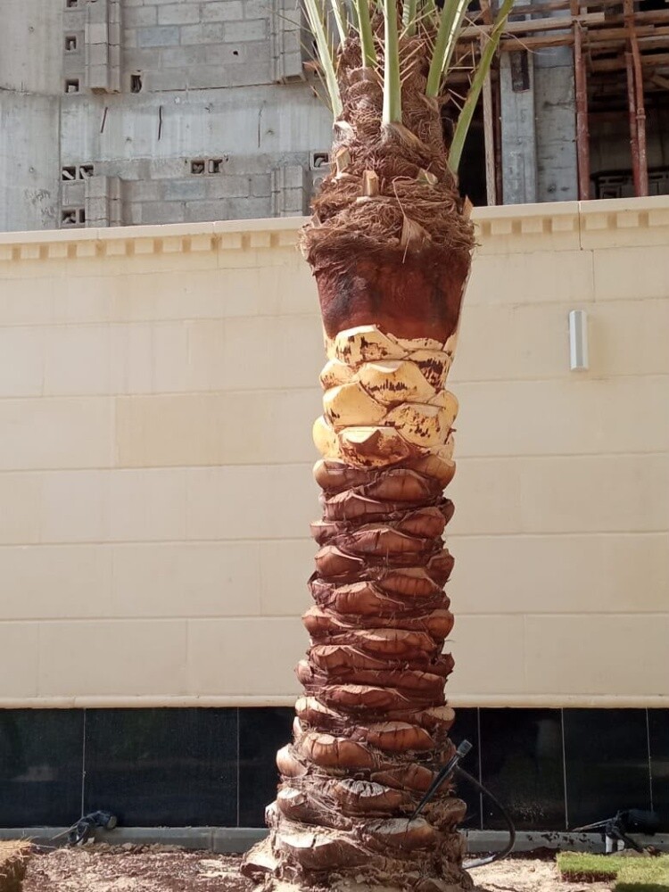 جميع اعمال اللاندسكيب - 2