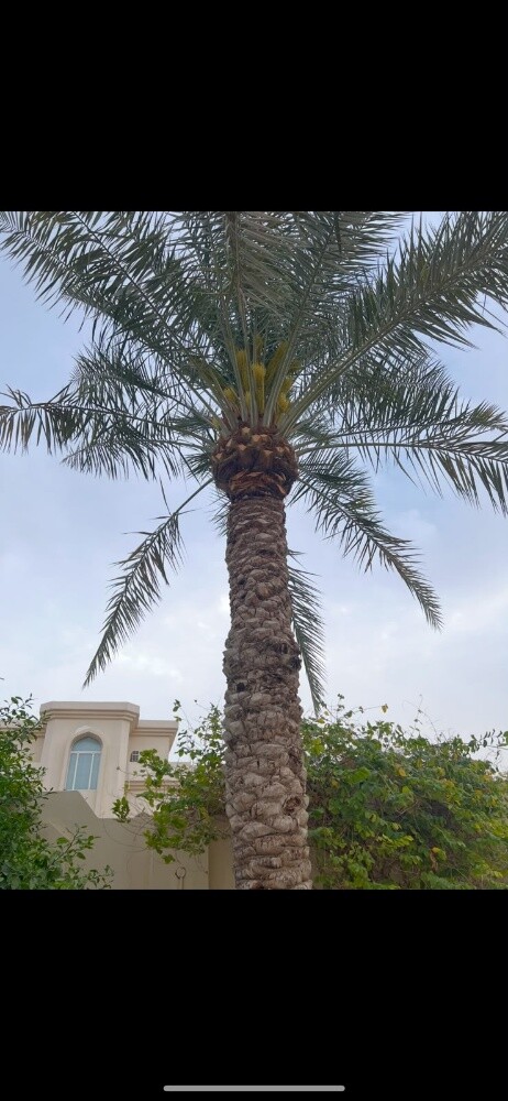 جميع اعمال اللاندسكيب - 5