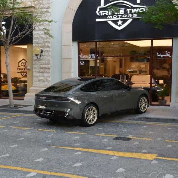دونج فينج 007 2025 - 10
