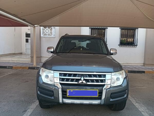 2017 Mitsubishi Pajero - 2