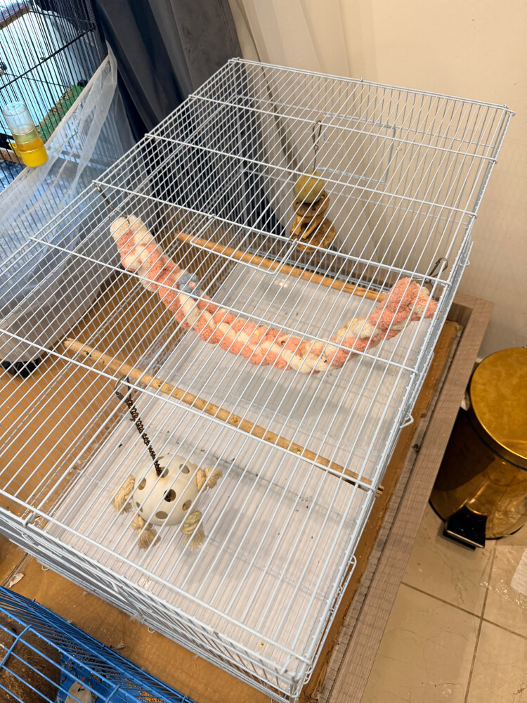 birds cage with toys and nest box - 3