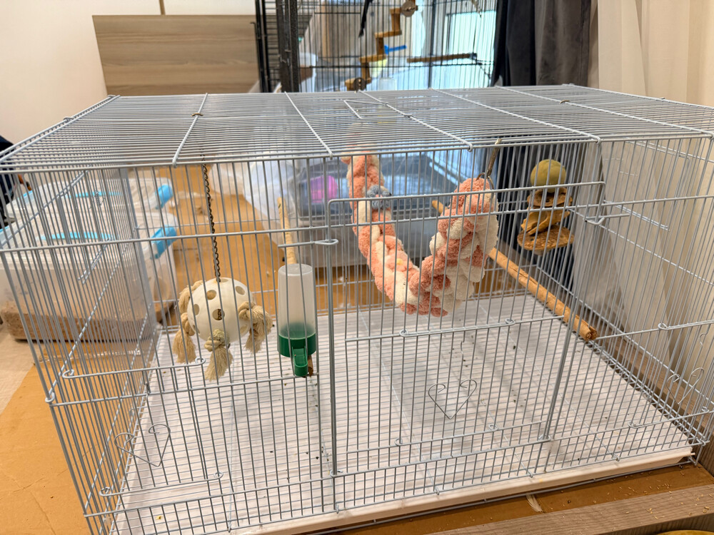 birds cage with toys and nest box - 2