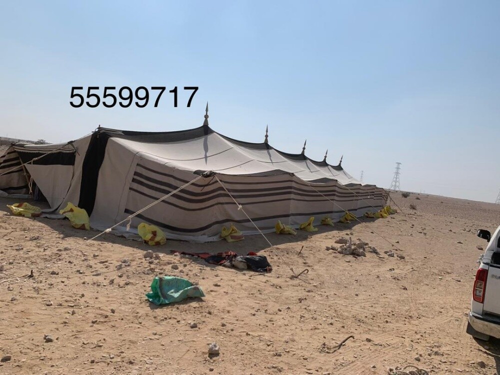 شركة بلازما - 3