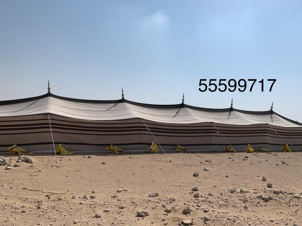 شركة بلازما - 4