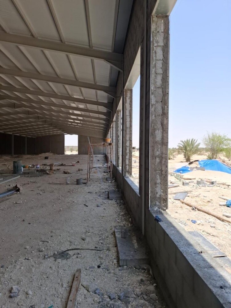 بلازما - 13
