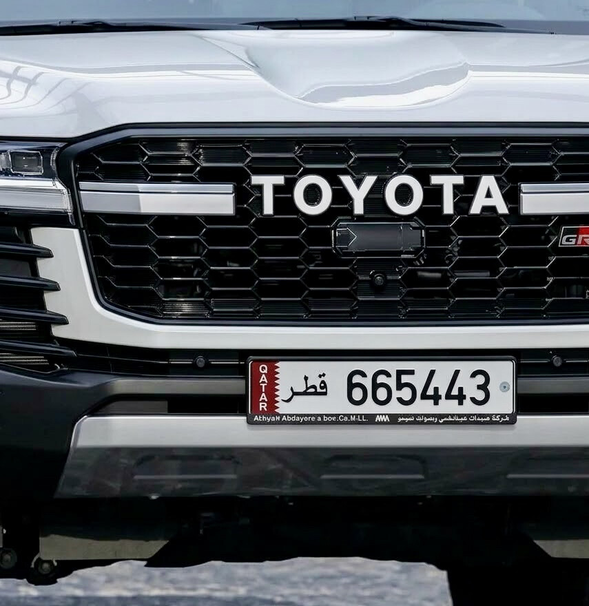 6543 Special plate  - 1