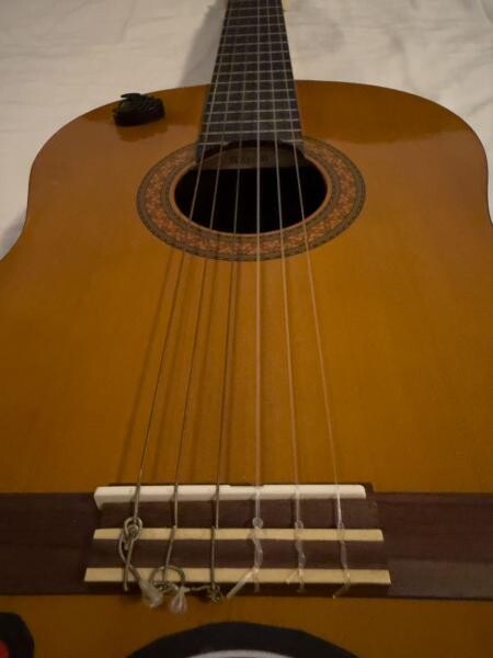 Guitar for Sale - 3