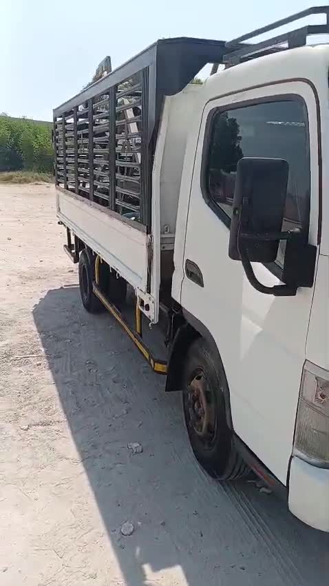 دنا مستبيشي - 1
