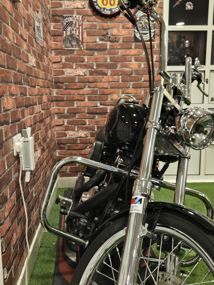 Harley Davidson - 3