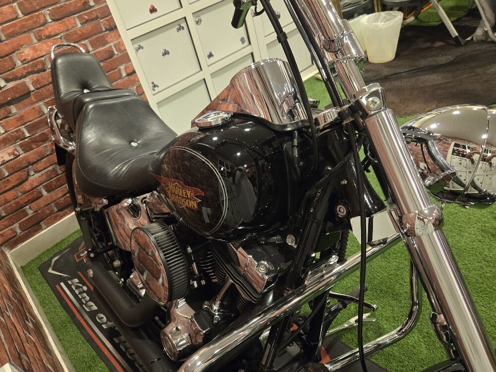 Harley Davidson - 4