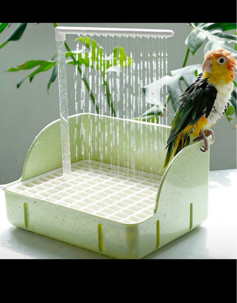 Large Bird Bath - 2
