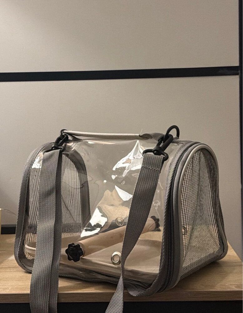 Bird Bag - 2