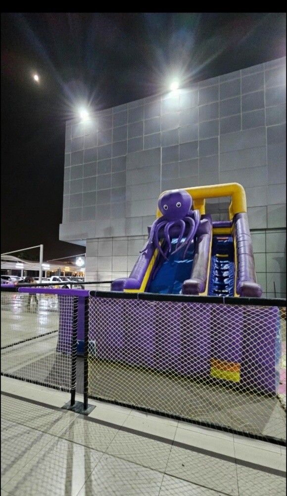 Inflatables ( Used good condition) - 3