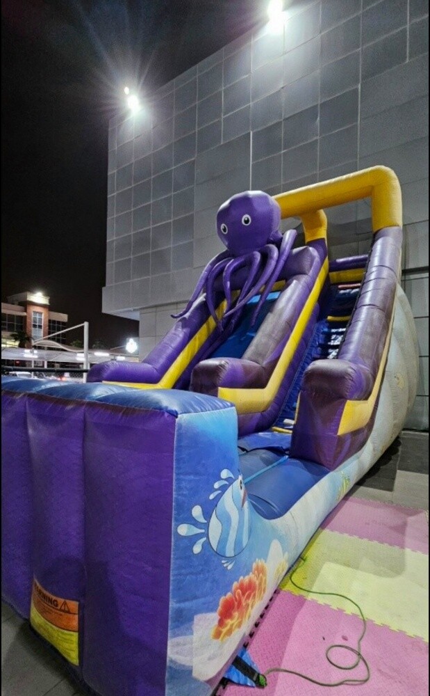 Inflatables ( Used good condition) - 4