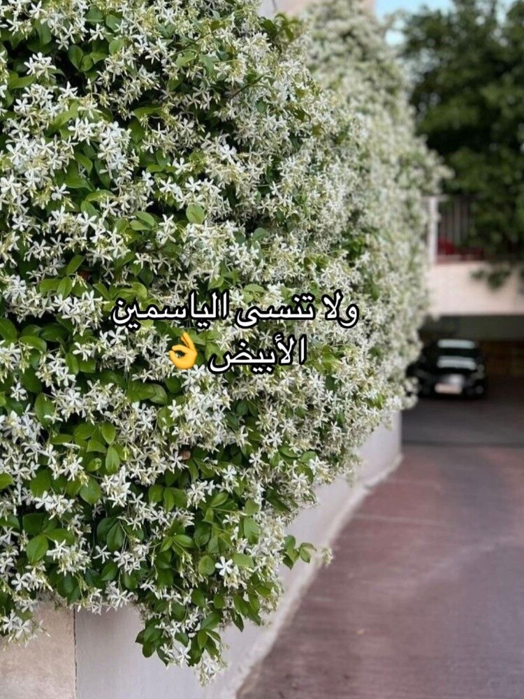 ورود توريد وتركيب - 5