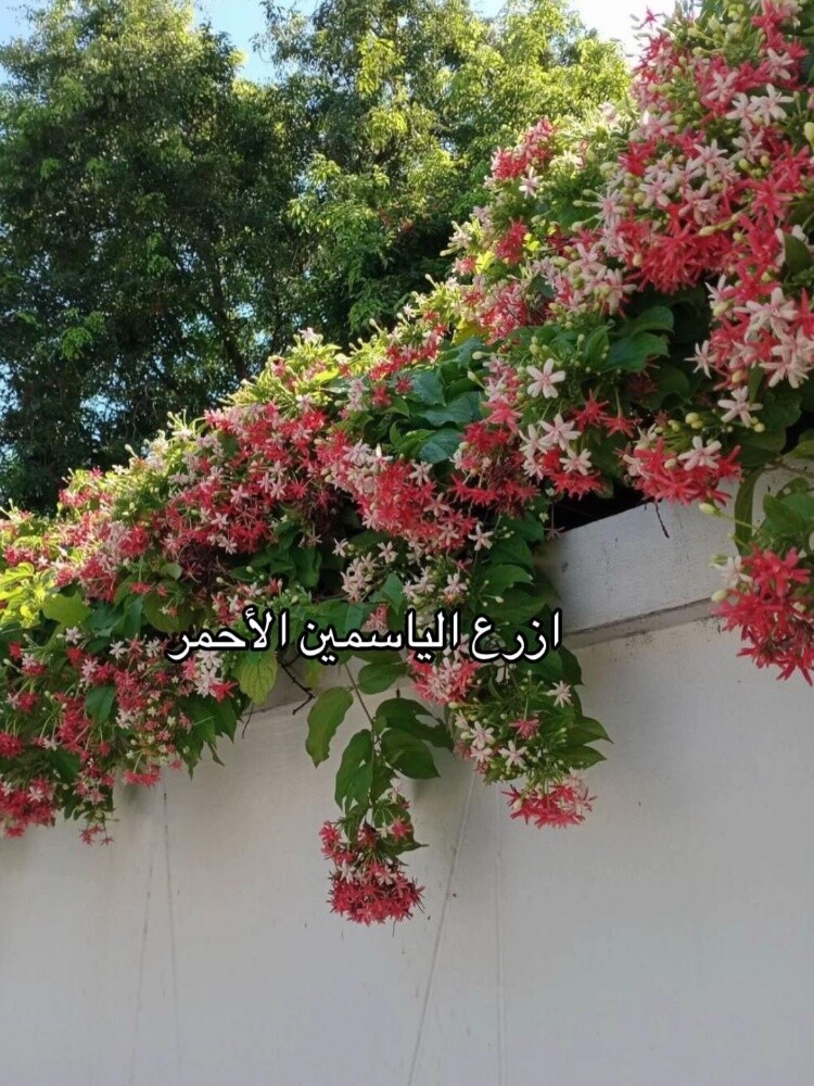 ورود توريد وتركيب - 4