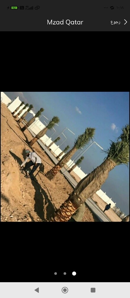 نقل وخلع النخيل خدمات - 3