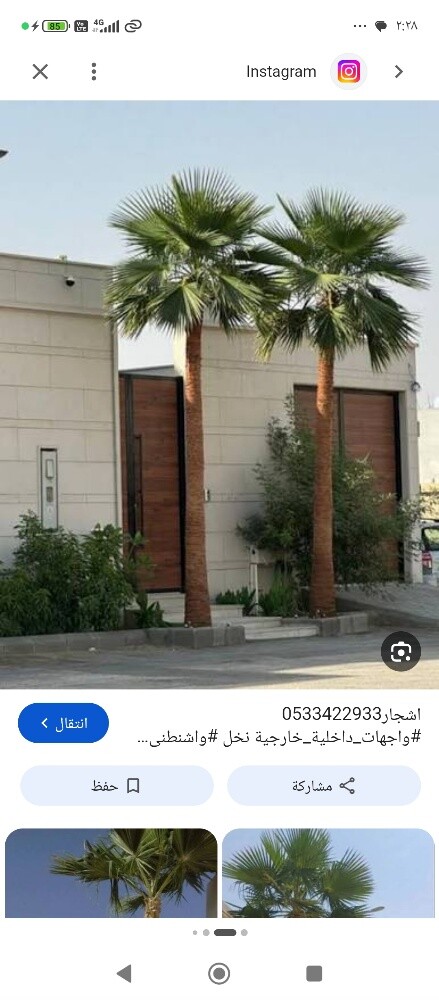 نقل وخلع وتقطيع النخيل - 5