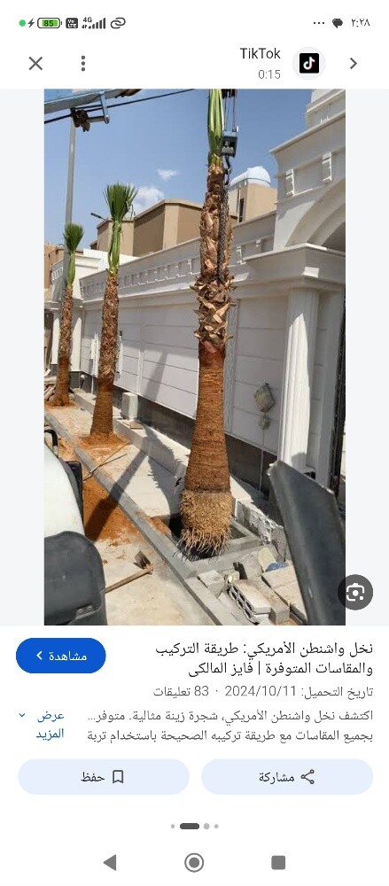 نقل وخلع وتقطيع النخيل - 3