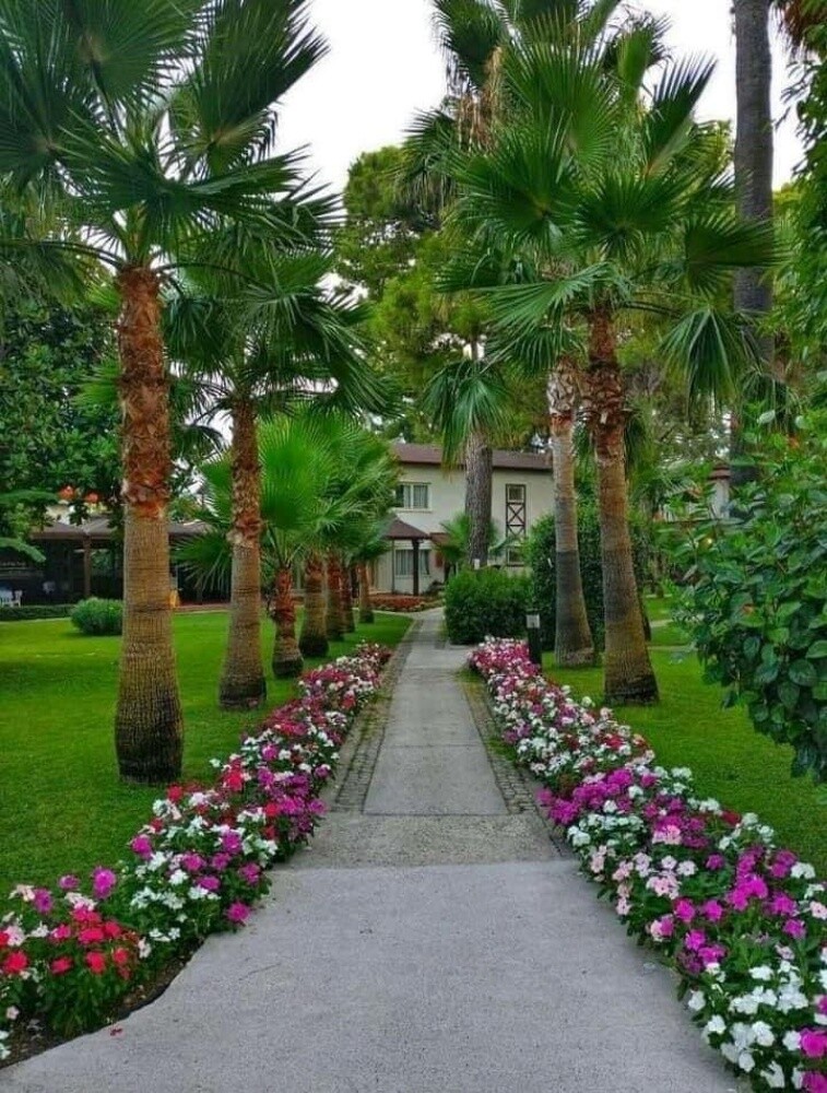 زراعه الحدائق - 8
