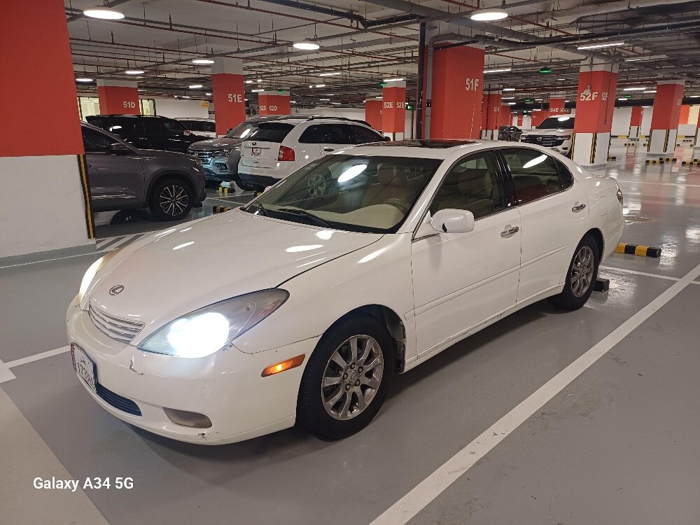 LUXESE ES300 2004 FOR SALE - 1