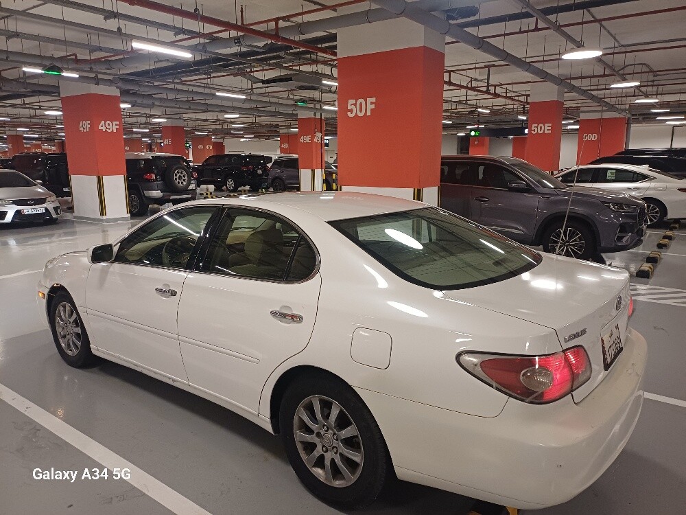 LUXESE ES300 2004 FOR SALE - 3