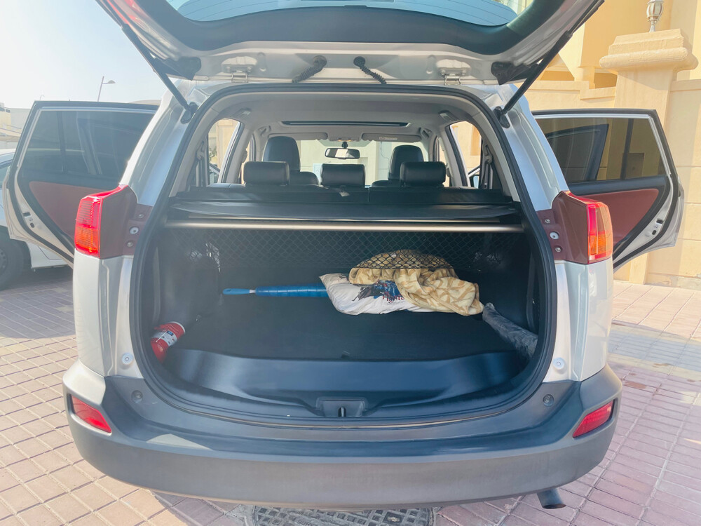 RAV4,119K.km,top option,1st owner d - 8