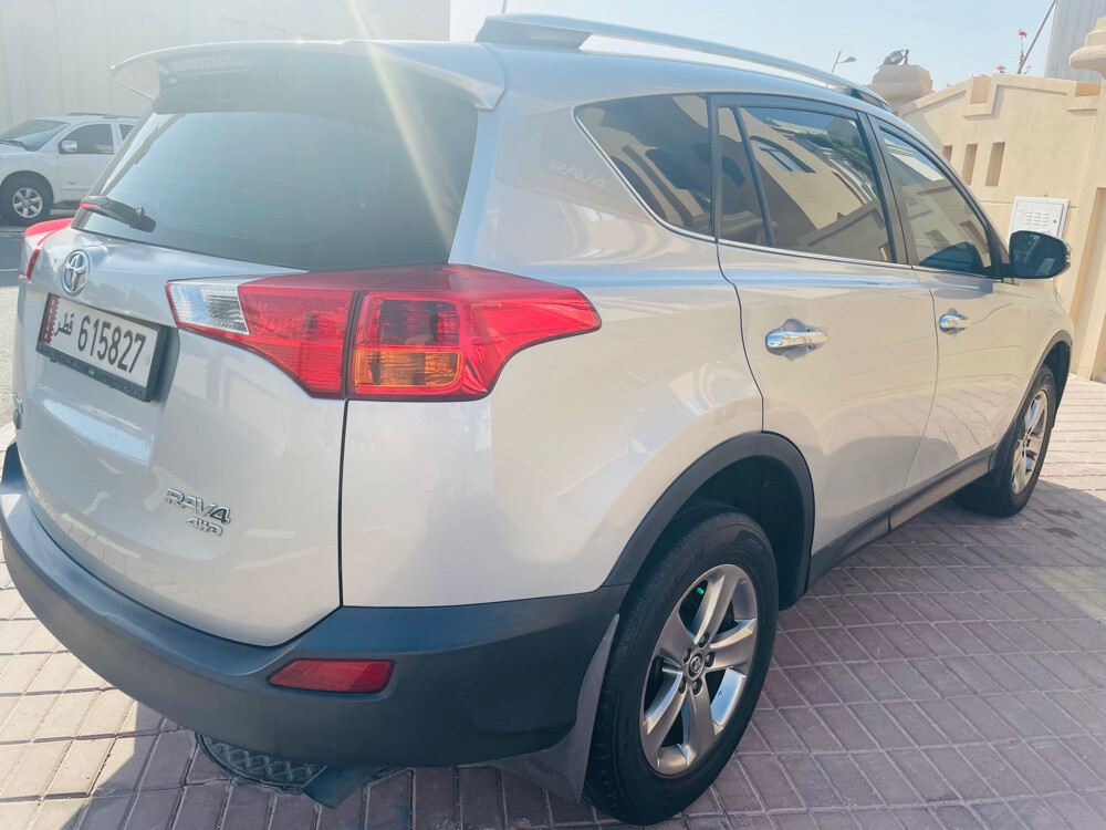 RAV4,119K.km,top option,1st owner d - 6
