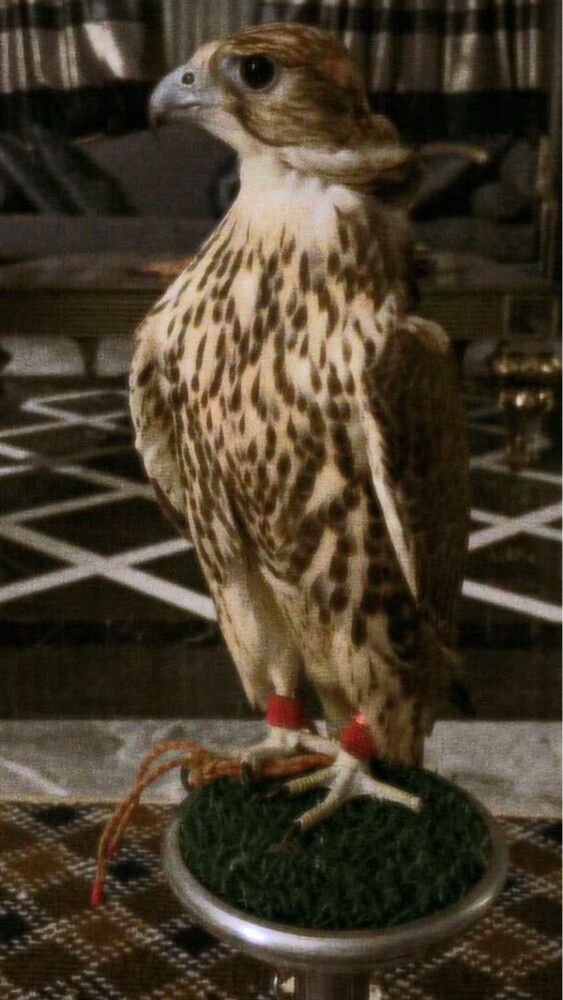 حر كزخي - 1