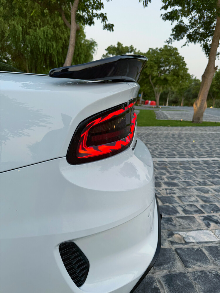Dodge Charger Wide-body V8 RT Plus  - 26