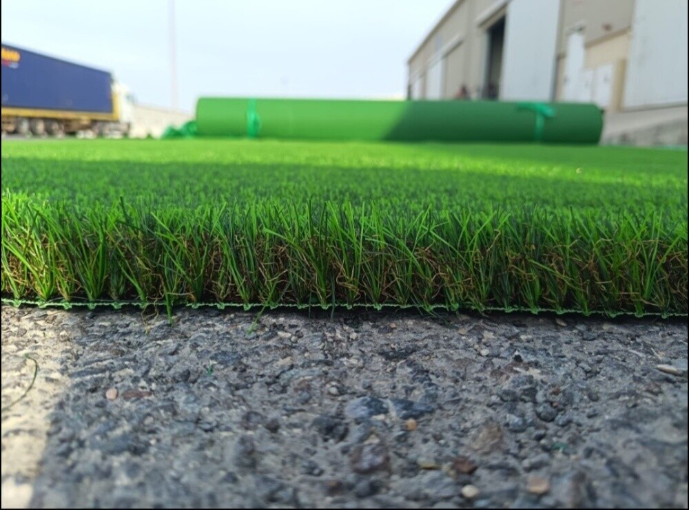 gass carpet - 6