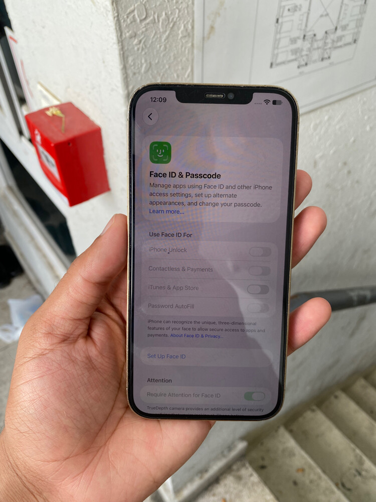 Iphone 12 pro max - 8