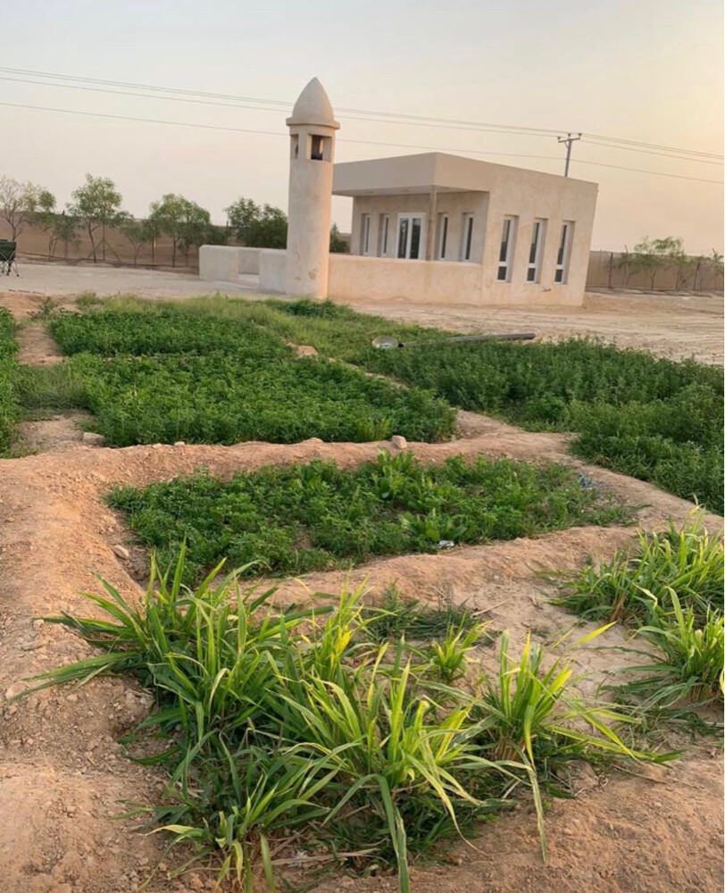 للبيع مزرعه صغيره  - 1