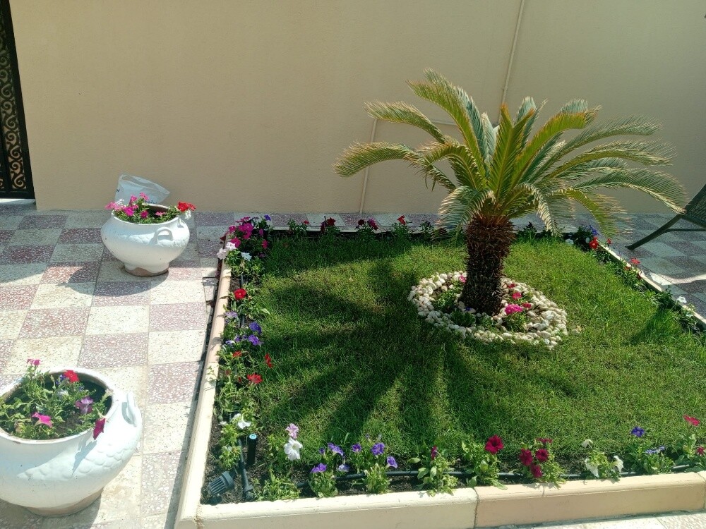 Ahmad Al balushi - 1